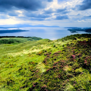 A Taste Of Scotland